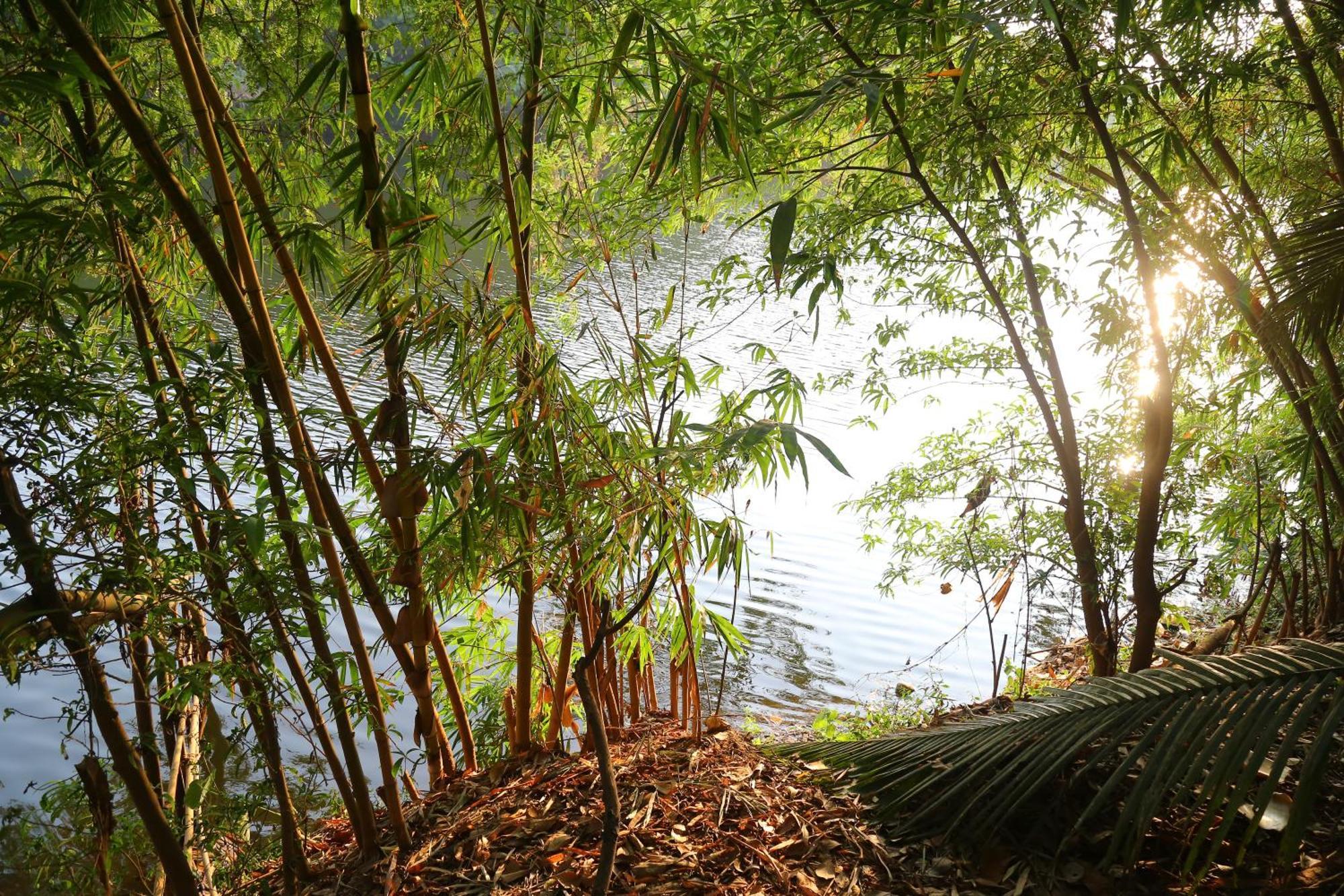 The Mana-Heritage stay - Chengazhimattam Mana Kottayam Luaran gambar