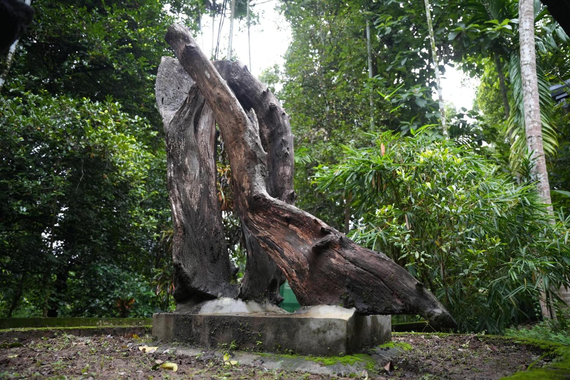 The Mana-Heritage stay - Chengazhimattam Mana Kottayam Luaran gambar