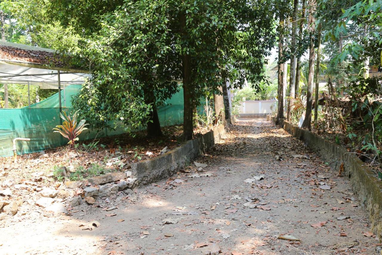 The Mana-Heritage stay - Chengazhimattam Mana Kottayam Luaran gambar