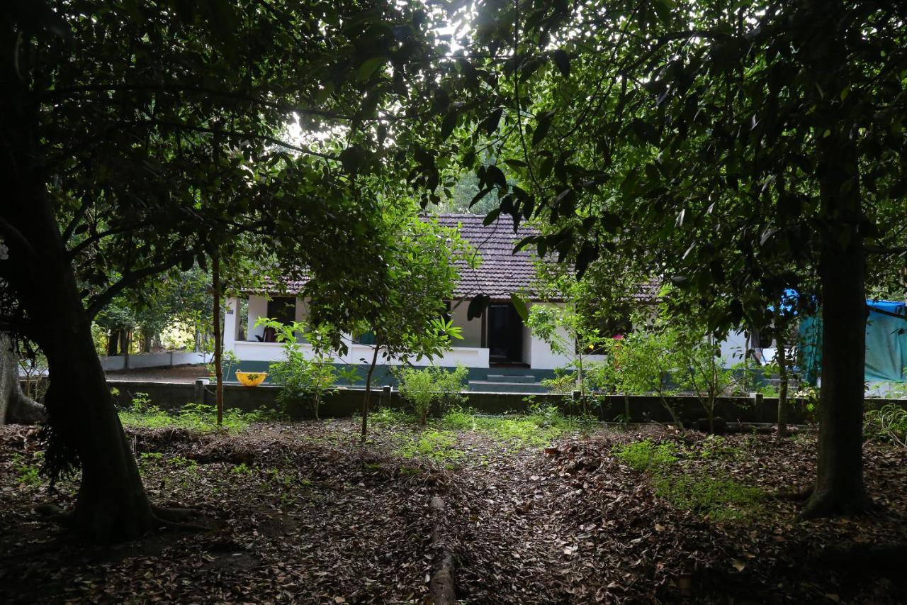 The Mana-Heritage stay - Chengazhimattam Mana Kottayam Luaran gambar